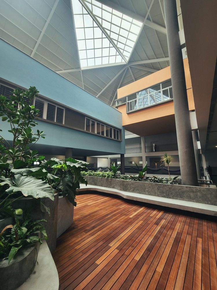NPS — Planted deck under the space frame roof