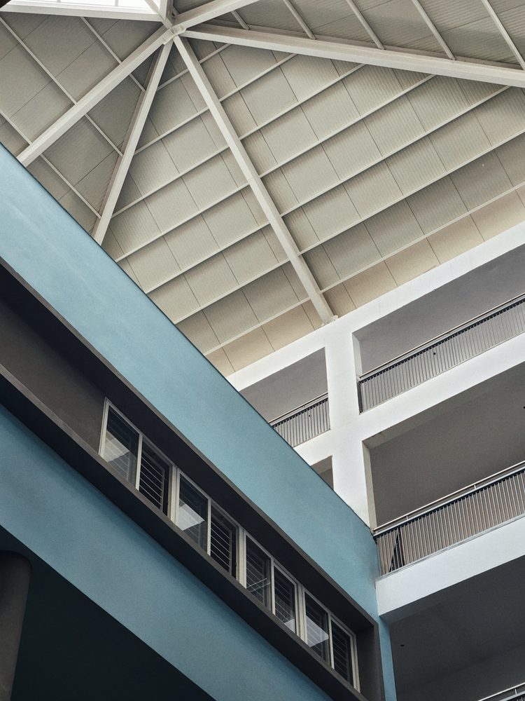 NPS — The court, looking up